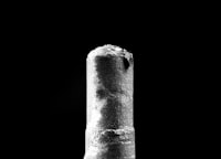 The Impact of Auditor\u0027s Ethics on the Quality of Auditing the Company\u0027s Cash Flows Image