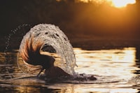 Pengaruh Iklim Organisasi dan Budaya Organisasi terhadap Kinerja Karyawan (Studi pada Karyawan Pt.pg Krebet Baru Malang) Image