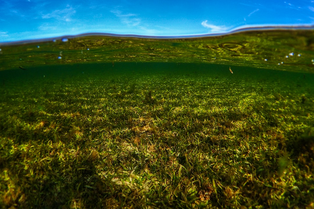 Influence of Sexual Values on Perceived Risk of Interfaith Marriage Among Unmarried Urban Students in Jakarta Image