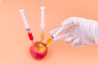 Efek Penambahan Jus Mangga Dan Carboxymethyl Cellulose Pada Minuman Fermentasi Berbasis Whey Keju Susu Kambing \u002D (Effect of Mango Juice and Carboxymethyl Cellulose on Fermented Beverage From Goat Milk Whey Cheese) Image