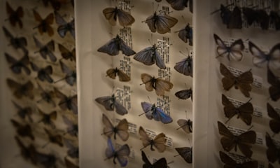 Pengaruh Manajemen Laba, Jaminandan Umur Obligasi Terhadapperingkat Obligasi Image