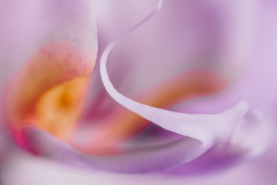 Perencanaan Produksi Menggunakan Metode Peramalan untuk Menentukan Total Permintaan Produk Kayu Albasia Bare Core Image