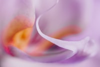 Perencanaan Produksi Menggunakan Metode Peramalan untuk Menentukan Total Permintaan Produk Kayu Albasia Bare Core Image