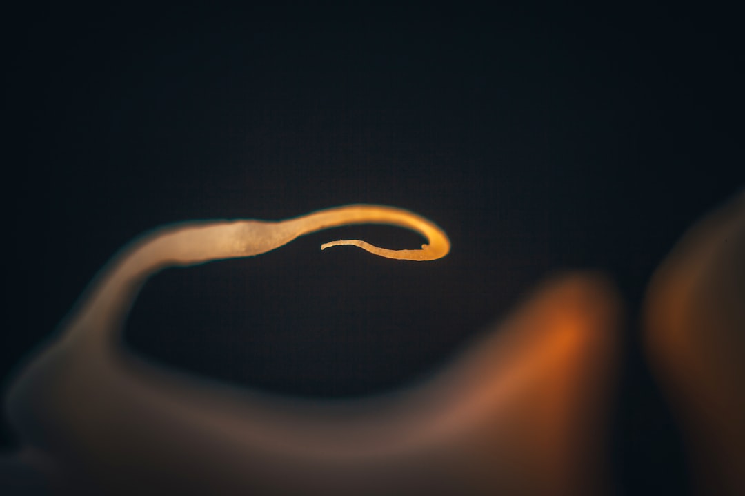 Guratan Makna Sosial dan Religius Lagu Ongko Koe dalam Guyub Tutur Manggarai di Flores Image