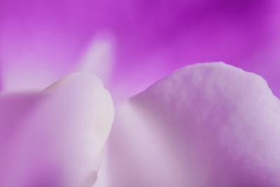 Ketidakpastian Hukum Jangka Waktu Penetapan Status Tersangka Dari Proses Penyidikan Sampai Pelimpahan Perkara Ke Persidangan Image