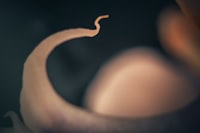 Faktor Risiko Tumor Payudara Pada Perempuan Umur 25\u002D65 Tahun Di Lima Kelurahan Kecamatan Bogor Tengah Image