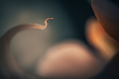 Hubungan Karakteristik Remaja Terkait Risiko Penularan Hiv\u002Daids Dan Perilaku Seks Tidak Aman Diindonesia Image