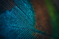 A Case Study on the Irregularity of Student in School Image