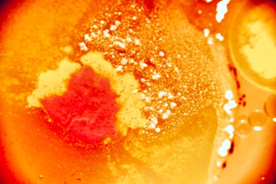 Perspektif Keperawatan Kesehatan Jiwa Di Masa Depan Image