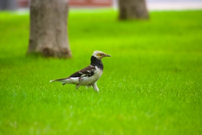 Peran Sekolah sebagai Agen Sosialisasi dalam Pembentukan Kepribadian Akhlak Mulia Siswa Smas Image