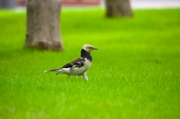Peran Sekolah sebagai Agen Sosialisasi dalam Pembentukan Kepribadian Akhlak Mulia Siswa Smas Image