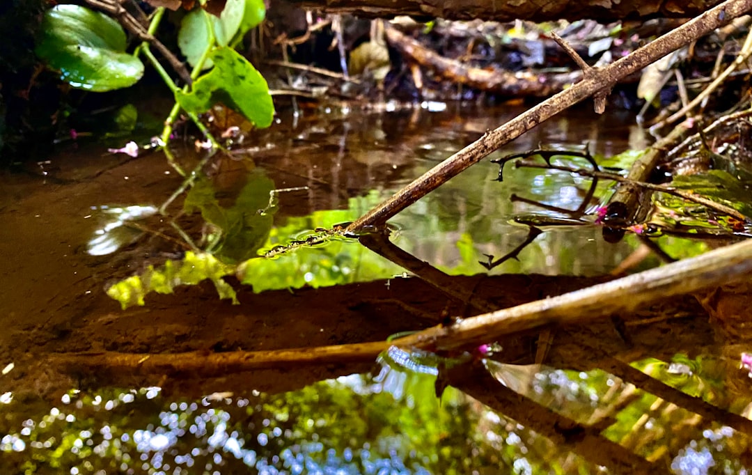 Konflik Internal antara Manajemen dan Driver Gojek Surabaya Image
