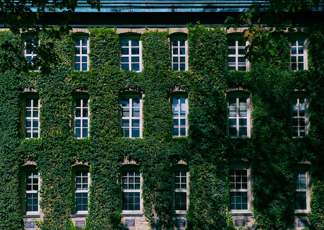 Kesantunan Berbahasa dalam Komentar Caption Instagram Image