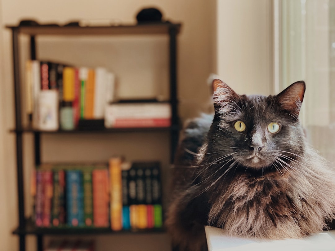 Social Criticism in Indonesian Literary Works During the New Order Era Image