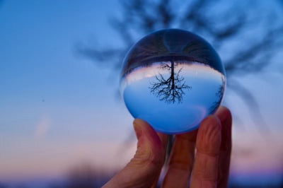 Design and Development of A Palm Kernel Nut Cracking Unit Image