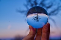 Design and Development of A Palm Kernel Nut Cracking Unit Image