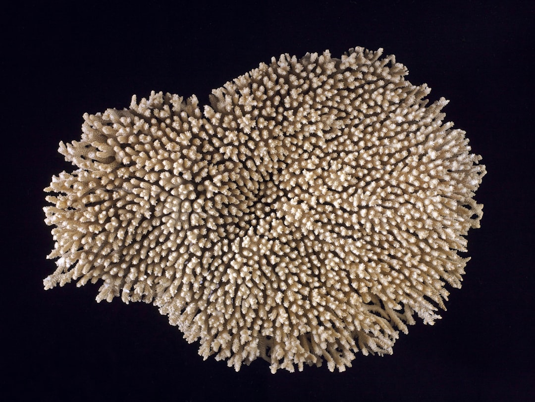 Penyelesaian Sengketa Konsumen terhadap Kasus Susu Kemasan (Studi Kasus Sengketa antara PT Ultrajaya Milk Industry \u0026 Trading Company Tbk. Melawan Rini Tresna Sari) Image