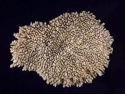 Aplikasi Sistem Informasi Tiket Pesawat Terbang Di Pt.garuda Indonesia Berbasis Web Image