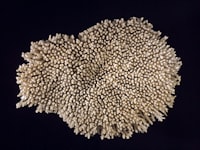 Aplikasi Sistem Informasi Tiket Pesawat Terbang Di Pt.garuda Indonesia Berbasis Web Image