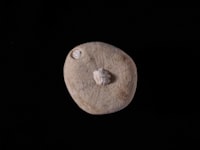 Mechanical Properties of Recycled Lightweight Concrete Manufactured Using Recycled Lightweight Concrete Aggregate: A Review Image