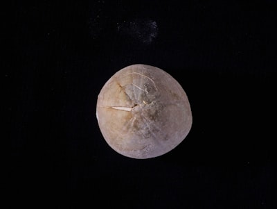 Petatah Petitih Kearifan Lokal Ekonomi dan Bisnis Masyarakat Minang Pedagang Rantau di Jakarta Image