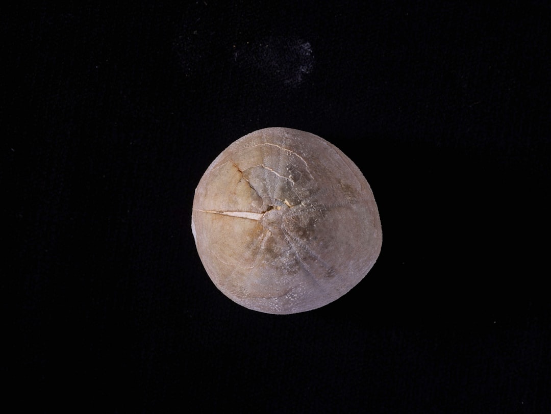 Analisis Perbandingan Return Reksadana dengan Return Pasar Serta Peringkat Berdasarkan Metode Sharpe,Treynor dan Jensen Image