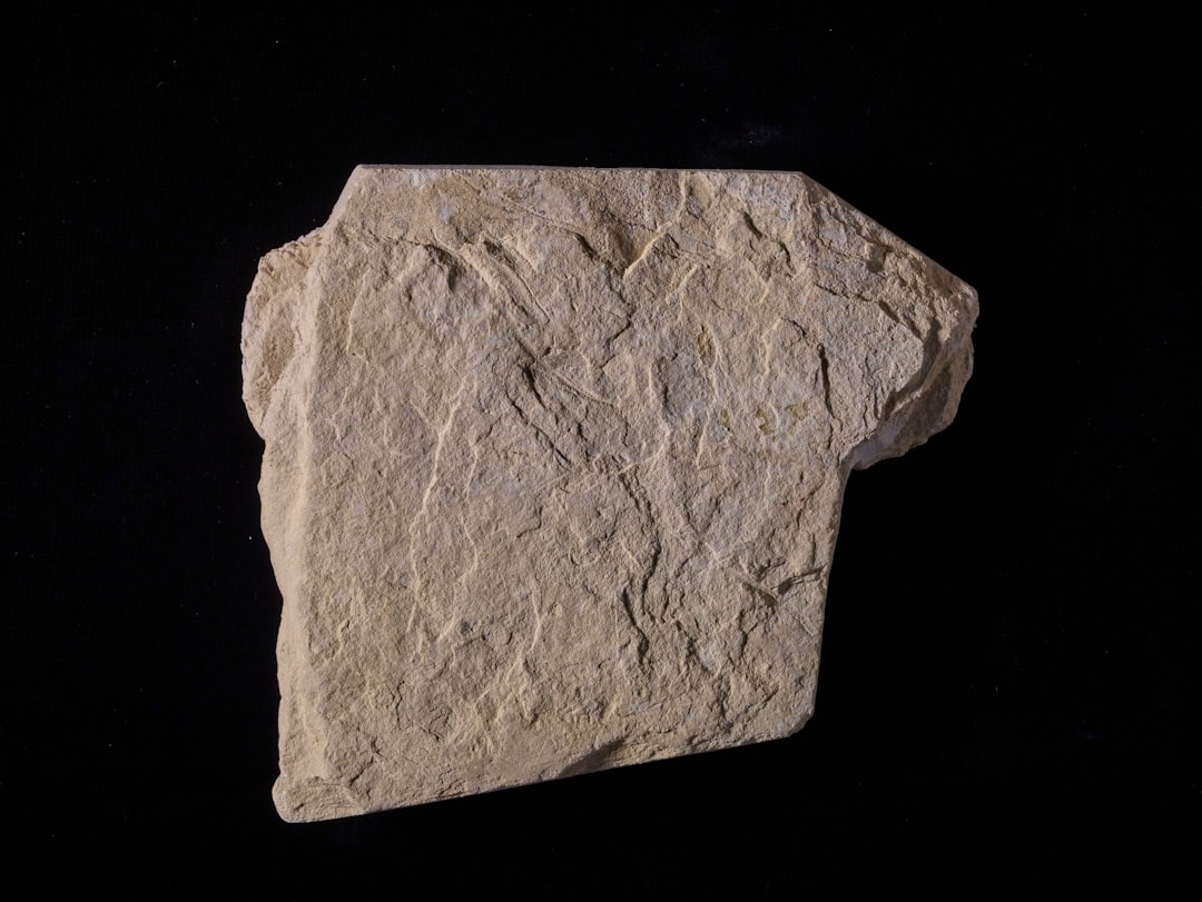 Pemanfaatan Fly Ash sebagai Adsorben Karbon Monoksida dan Karbon Dioksida pada Emisi Kendaraan Bermotor Image