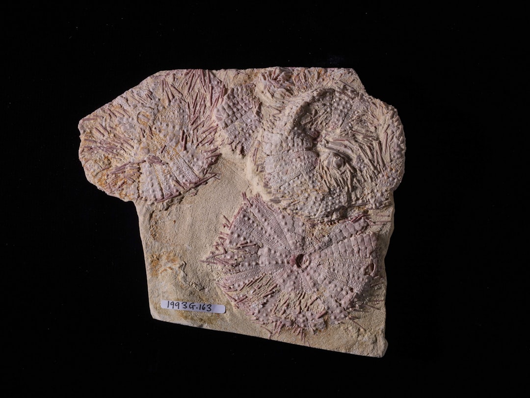 The Impact of HIV on Children\u0027s Education in Indonesia Image