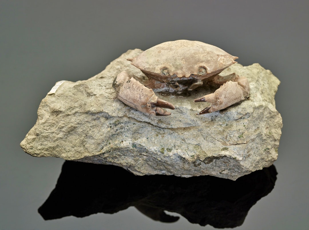 Batik Damar Kurung di Gresik: Konsep, Unsur Bentuk dan Karakteristik Image