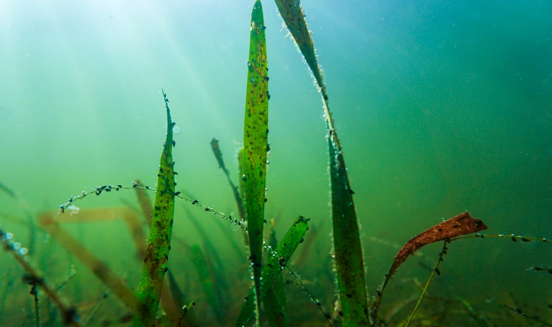Pengaruh Gaya Kepemimpinan terhadap Komitmen Organisasional dengan Kepuasan Karyawan sebagai Mediator pada PT Young Multi Sarana Image