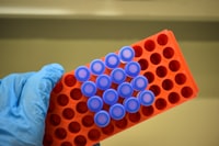 Exploring the Success Factors of E\u002Dcrm Implementation on B2c E\u002Dcommerce: Satisfaction and Loyalty a Conceptual Framework Image