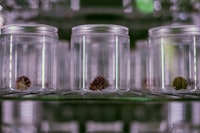 Evaluasi Digital Library AMIK AKMI Baturaja Menggunakan HOT Fit Model Image