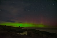 Azoospermia: a Genomic Review Image