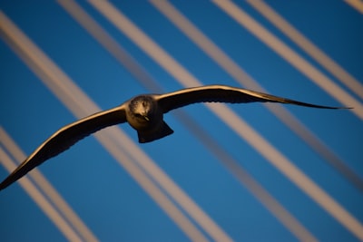 Bagaimanakah Profil Individu yang Memanfaatkan Perbankan Digital di Indonesia? Image