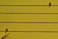 Kajian Ilmiah Tentang Ilmu Pendidikan Image