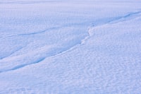 Konflik Sosial Ditinjau dari Segi Struktur dan Fungsi Image