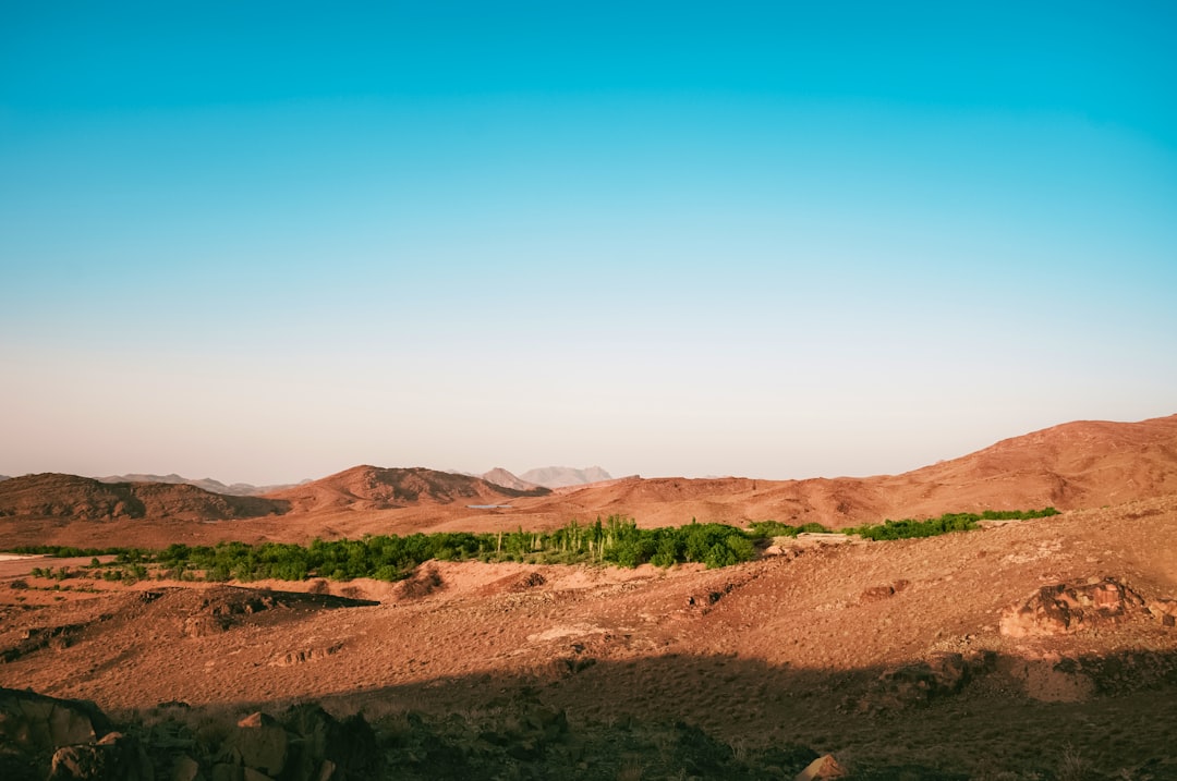 Penerapan Model Pembelajaran Kooperatif Tipe Two Stay Two Stray (Tsts) Untuk Meningkatkan Hasil Belajar IPA Siswa Kelas IV Mi Hubbul Wathan Rimba Melintang Kecamatan Rimba Melintang Image