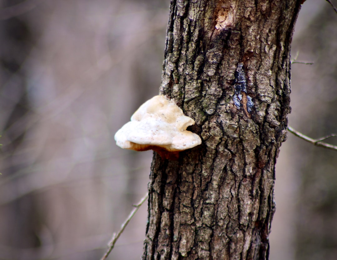 Perbedaan Minat Berwirausaha Siswa antara Metode Role Playing dan Metode Examples Non Example Image