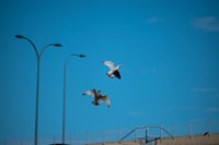 Pengembangan Bahasa Pada Cerita Anak Di Televisi Image