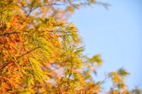 Proyeksi Penduduk Indonesia 2005\u002D2025 Image