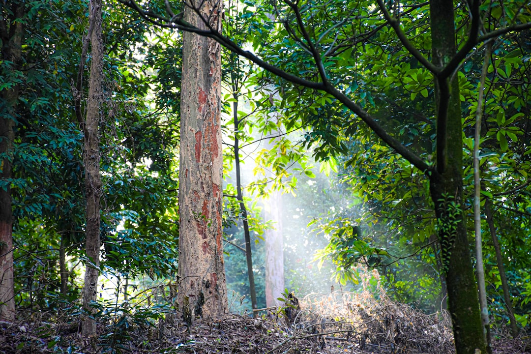 Hubungan Tingkat Pendidikan Dan Activity Daily Living Dengan Demensia Pada Lanjut Usia Di Panti Werdha Image