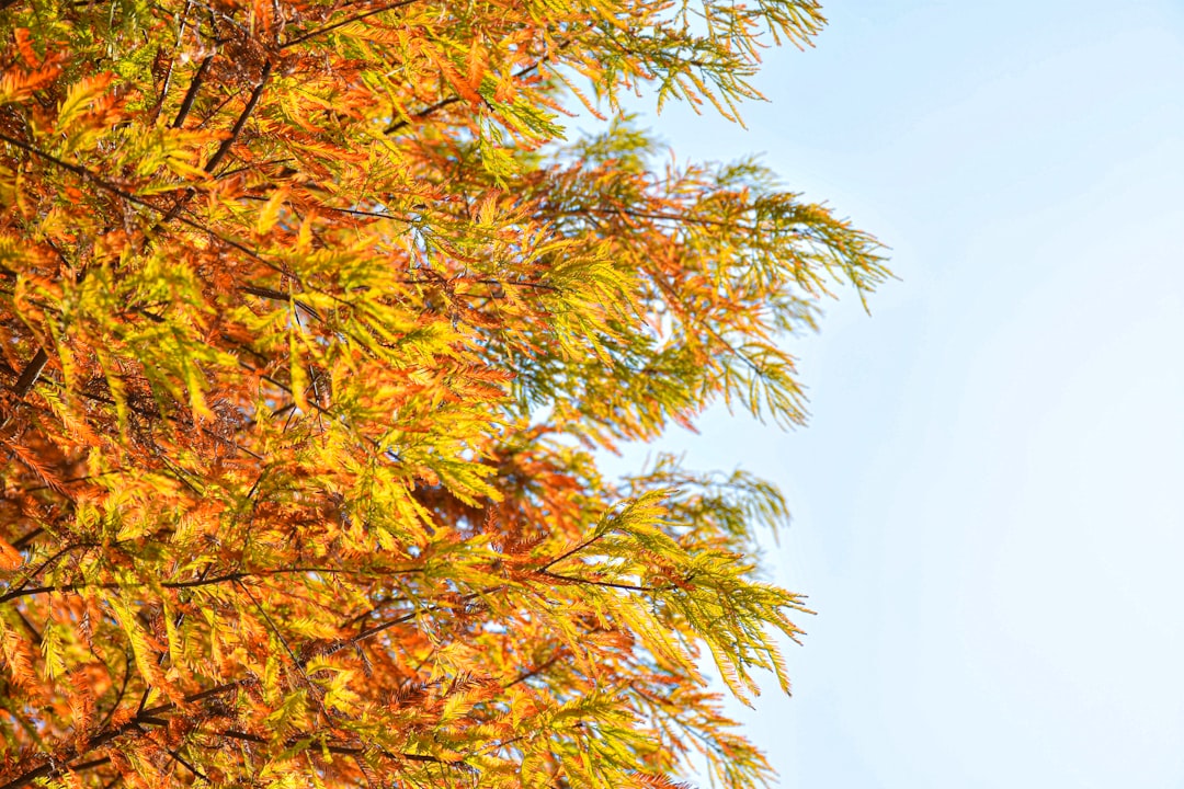 Evaluasi Toleransi Sumber Daya Genetik Kedelai terhadap Cekaman Salinitas Image