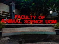 The Role of Public Hospitals in Providing Free Healthcare Services: Enhancing Accessibility and Promoting Positive Health Outcomes for Communities Image