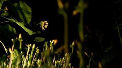 Effect of Sodium Hydroxide (NaOH) in Bitumen Separation Process From Asbuton in Hot Wate Image