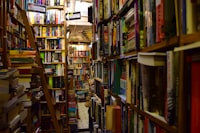 Pengaruh Pendapatan Orang Tua terhadap Tingkat Pendidikan Anak Desa Sungai Asam Kabupaten Kubu Raya Image