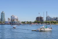 IDENTIFIKASI HAMA LALAT BUAH (DIPTERA : TEPHIRITIDAE) PADA BEBERAPA TANAMAN HORTIKULTURA Image