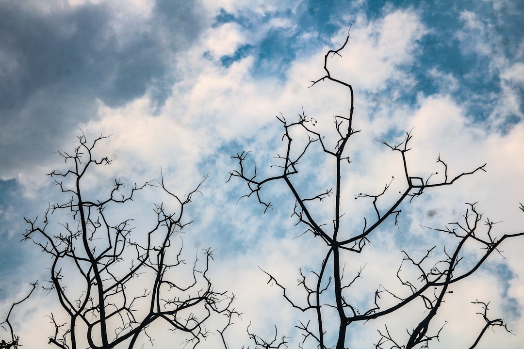 Aplikasi Pedoman Gizi Seimbang dan Kalkulator Kesehatan Berbasis Mobile Image