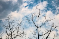 Penerapan Model Kombinasi Inmon dan Kimball pada Pembangunan Enterprise Data Warehouse dan Business Intelligence (Edw/bi) Image