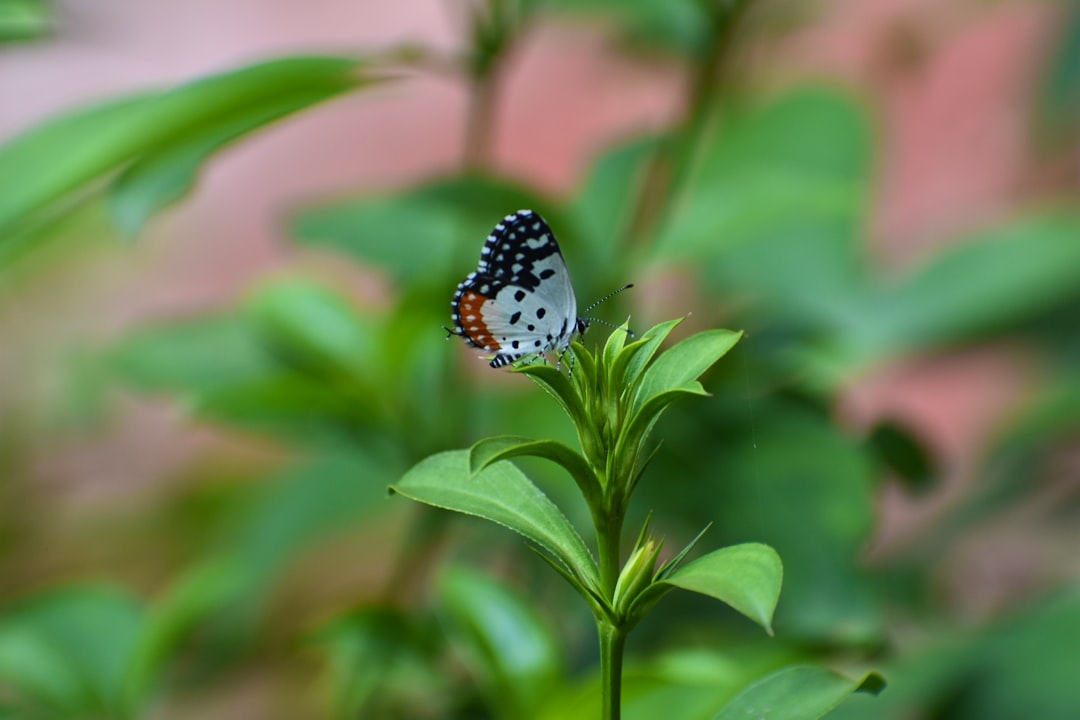 Pengaruh Return,on Equity (Roe), Debt,ratio (Dr), Debt To,equity Ratio (Der), Earning,per Share (Eps) Terhadap,harga Saham (Studi Pada,Perusahaan Food,and Beverage Yang,terdaftar Di,bursa Efek,Indonesia Periode 2011\u002D2013) Image