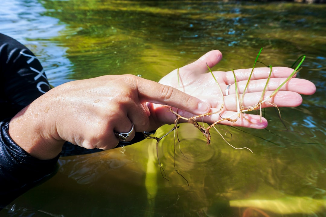 Potensi Remap STAD (Reading Concept Mapping Student Teams Achievement Division) untuk Meningkatkan Keterampilan Berpikir Kritis Siswa Image